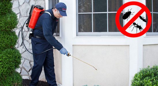 Çatalpınar Kemirgen İlaçlama böcek ilaçlama ve haşere kontrolü — ilaclama-tr.com